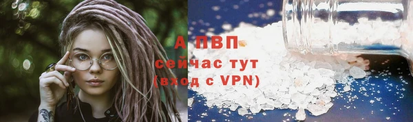 spice Арсеньев