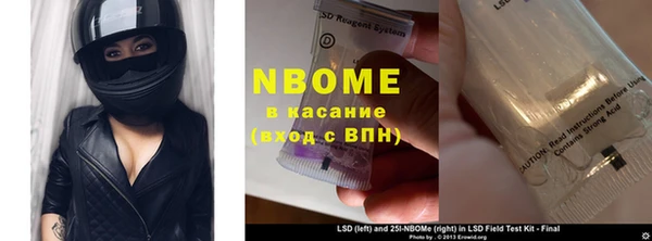 шишки Аркадак