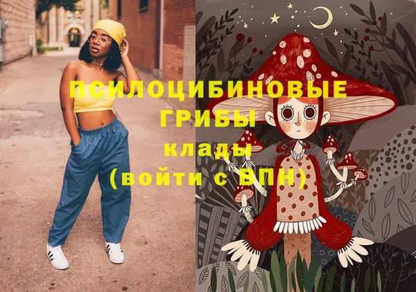 spice Арсеньев