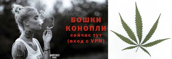 шишки Аркадак
