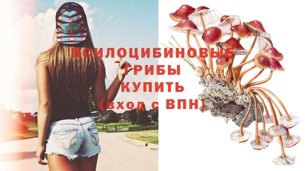 гидропоника Армянск