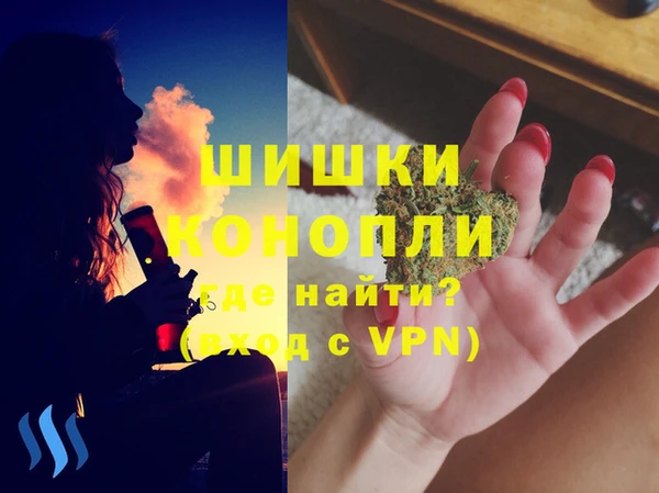 шишки Аркадак