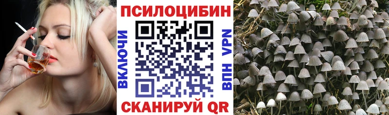 Псилоцибиновые грибы Psilocybine cubensis  Мариинск 